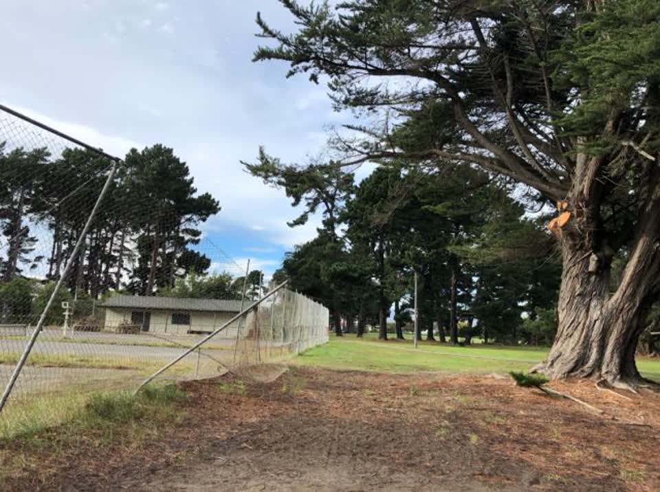 The photograph attached to this parks report