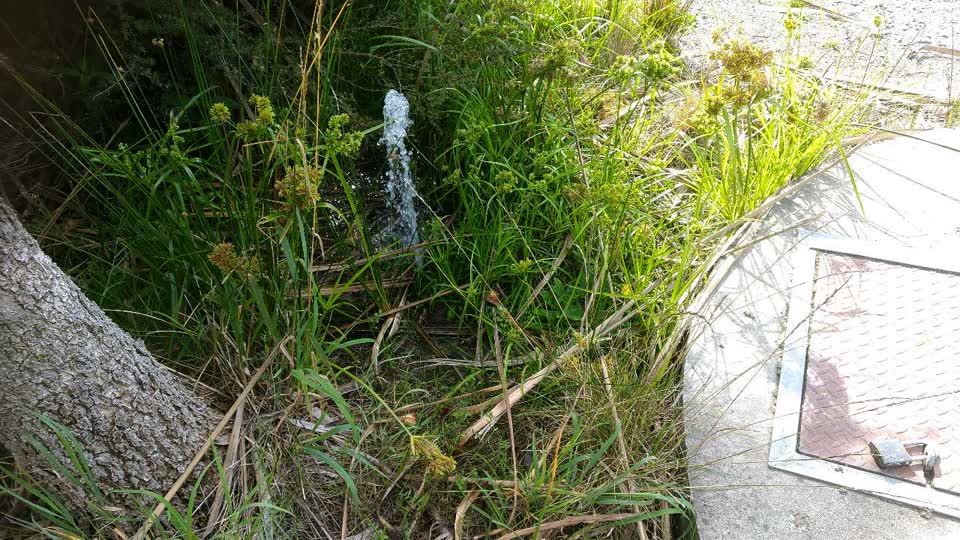 The photograph attached to this water supply report