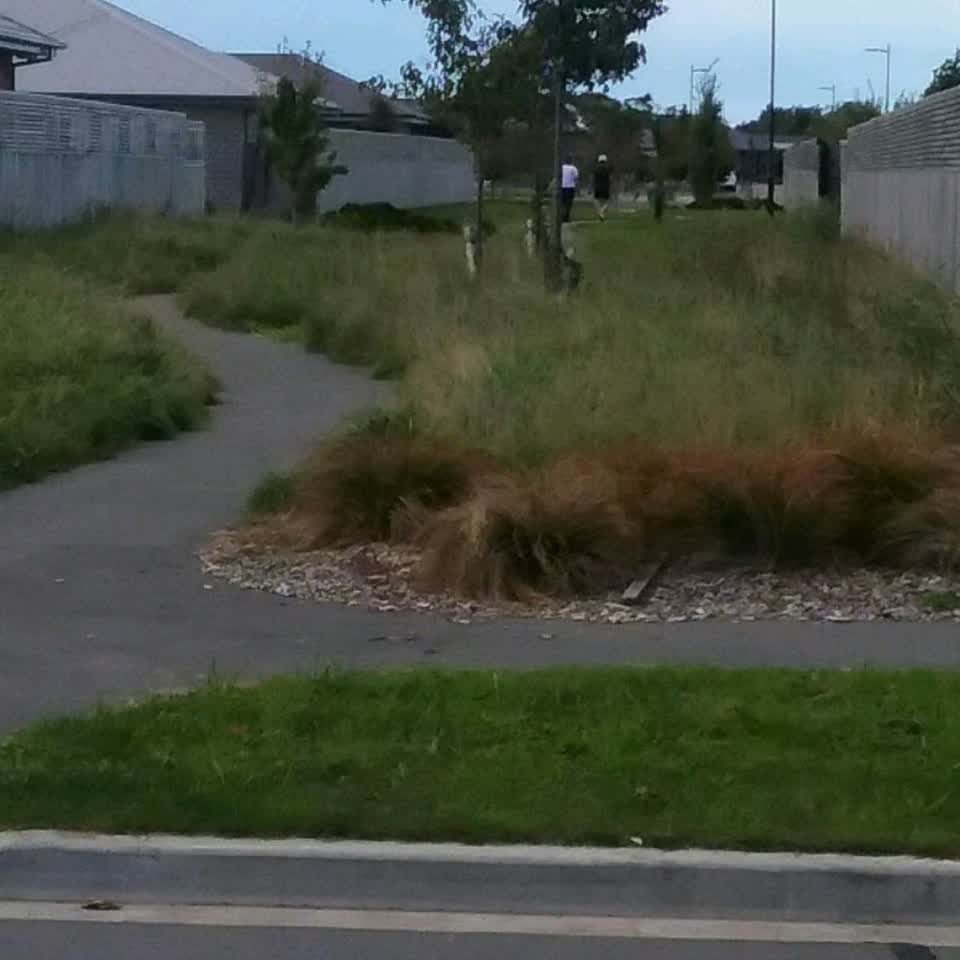 The photograph attached to this parks report