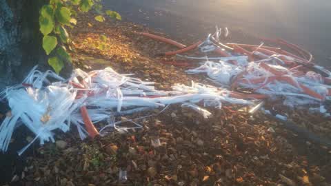Rubbish/Recycling, a report photo