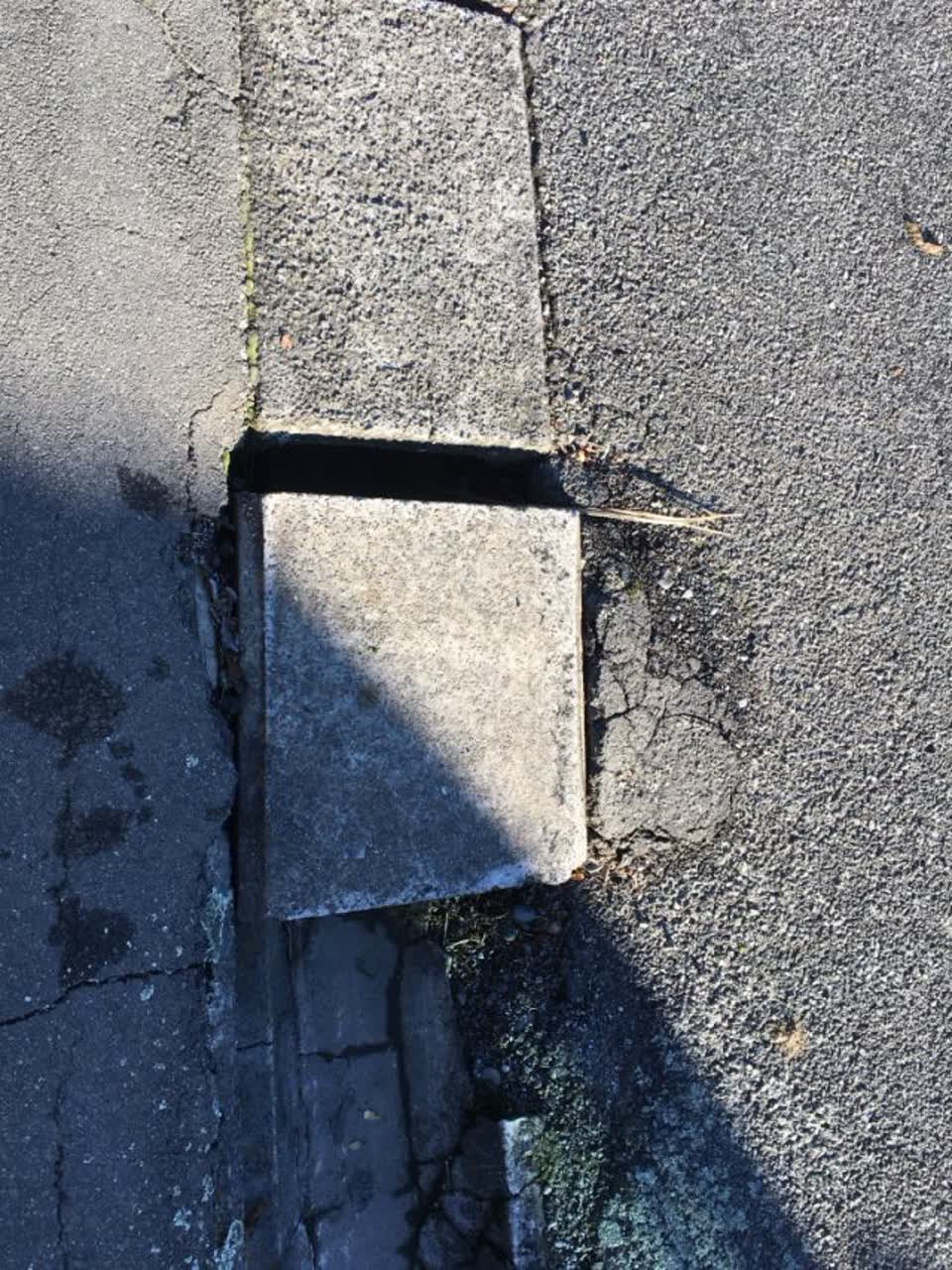 The photograph attached to this roading/streets report