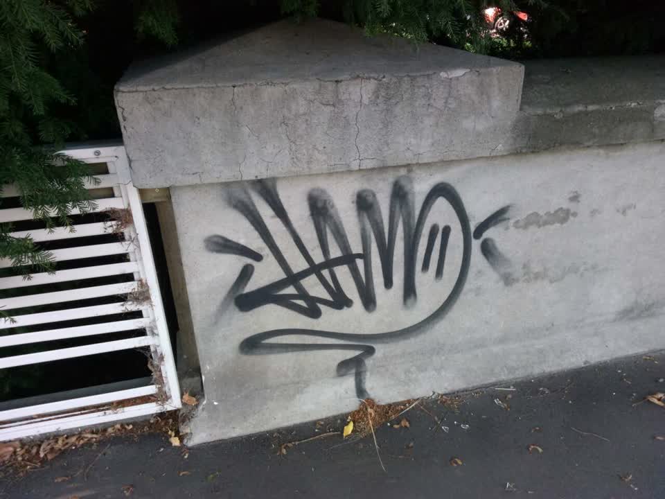 The photograph attached to this graffiti report