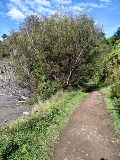 Parks — a report photo