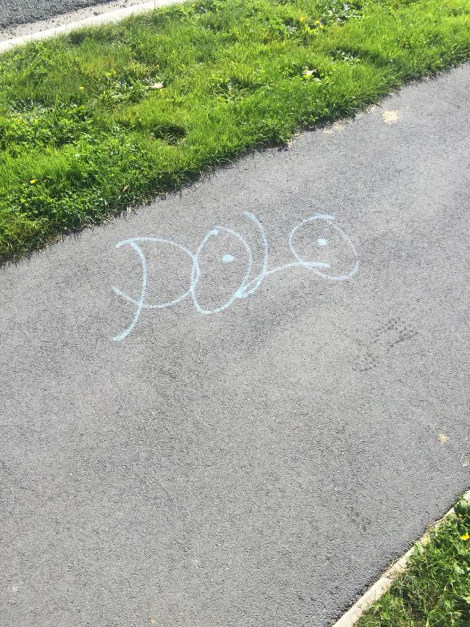 The photograph attached to this graffiti report