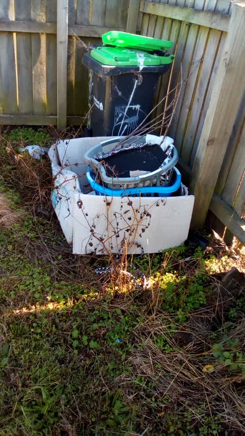Rubbish/Recycling, a report photo
