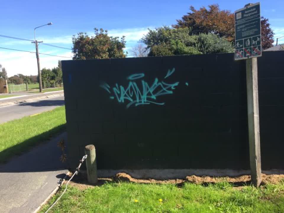 The photograph attached to this graffiti report