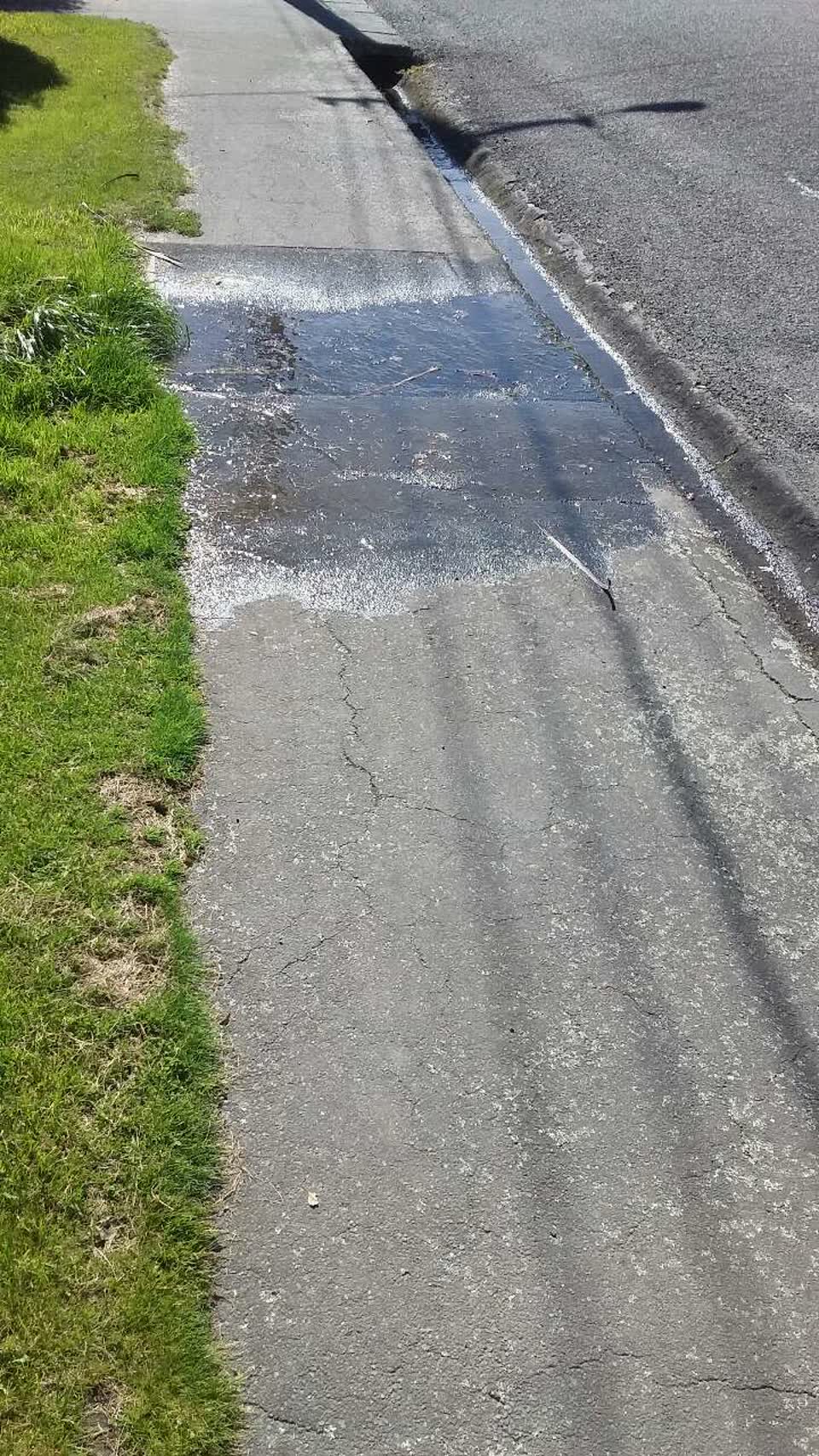 The photograph attached to this water supply report