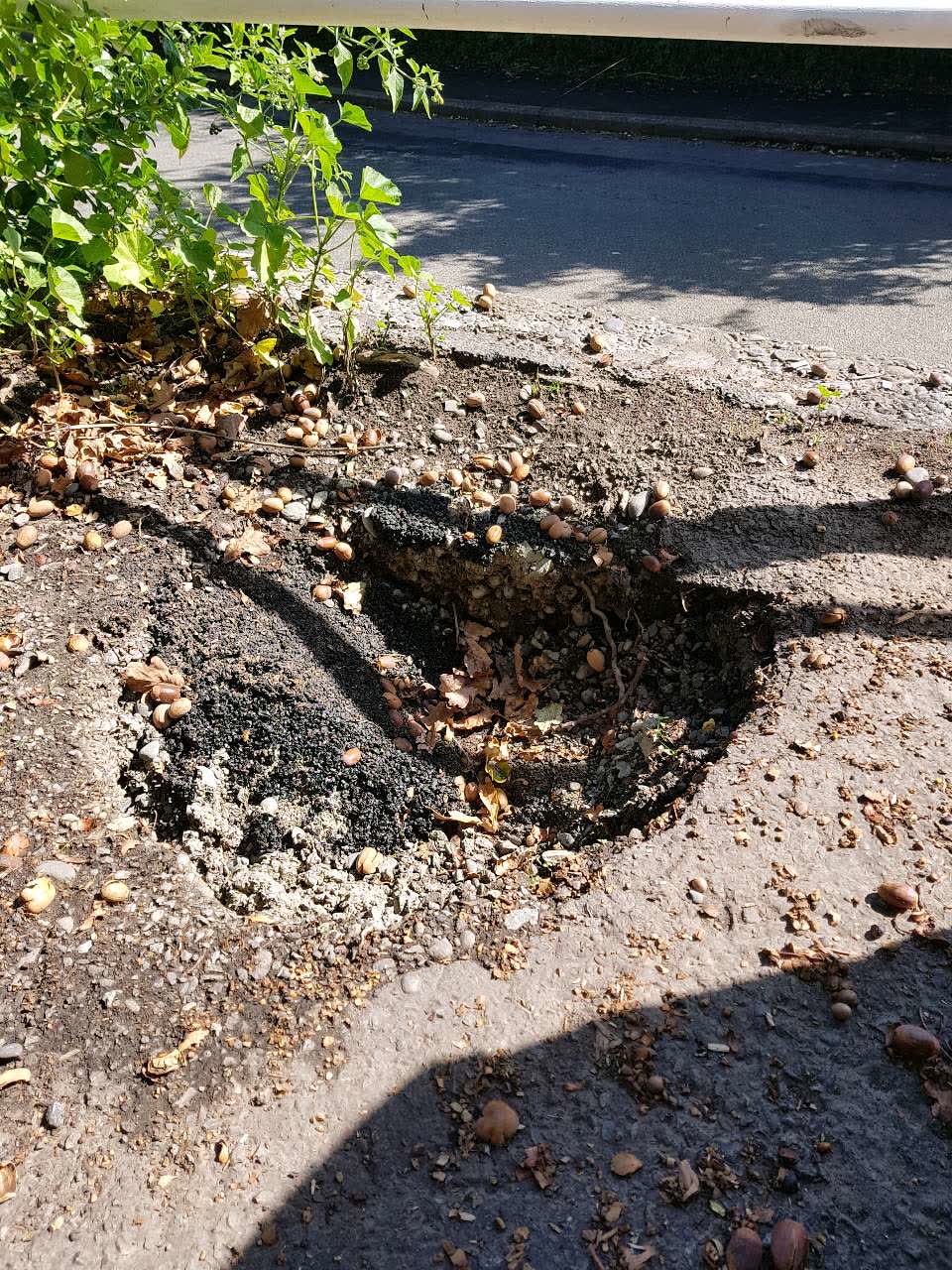 The photograph attached to this roading/streets report