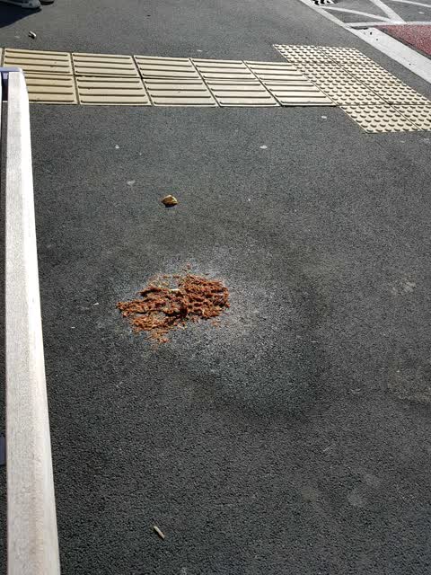 Roading/Streets, a report photo