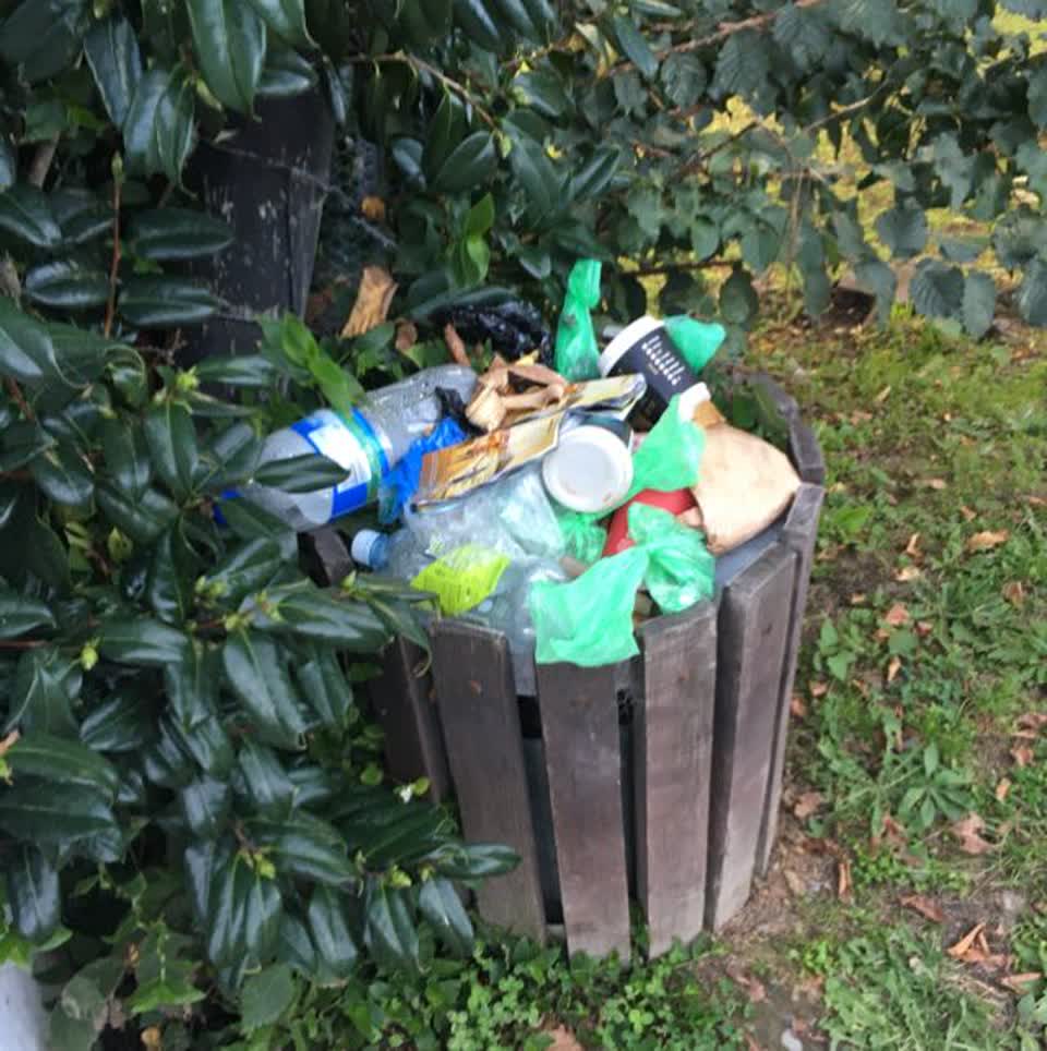 The photograph attached to this parks report