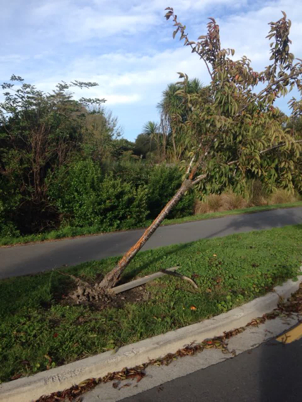 The photograph attached to this parks report