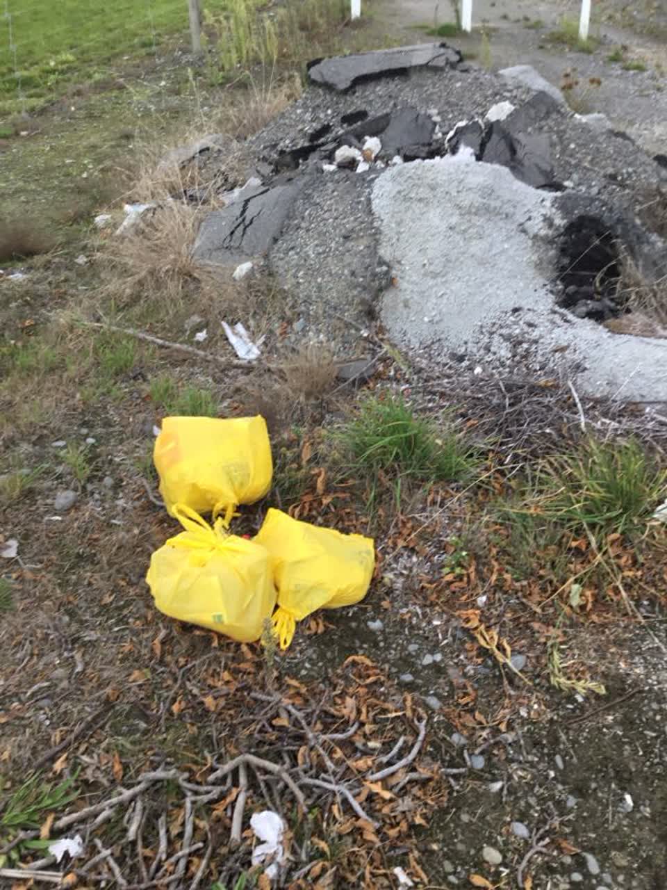 The photograph attached to this rubbish/recycling report