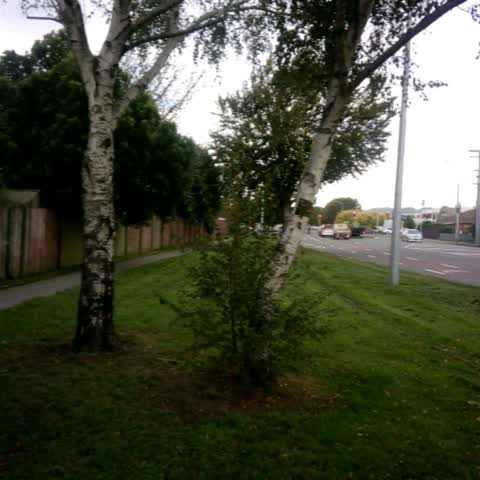 Roading/Streets, a report photo