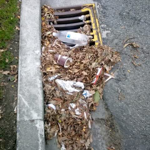 Roading/Streets, a report photo