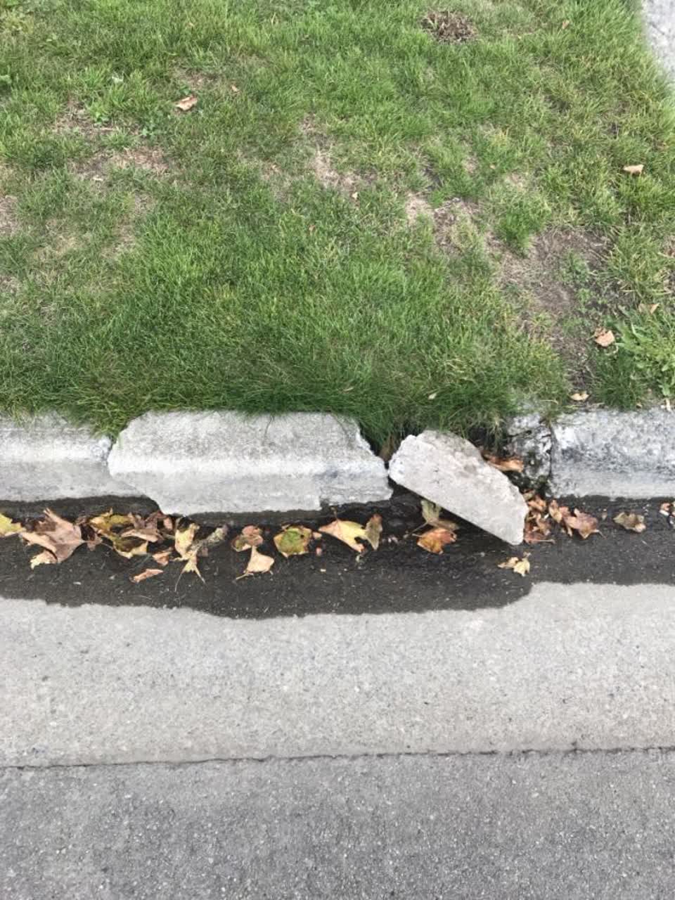 The photograph attached to this roading/streets report