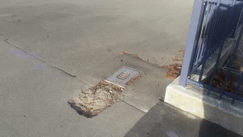 Roading/Streets, a report photo