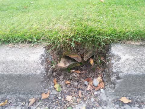 Wastewater/Stormwater, a report photo