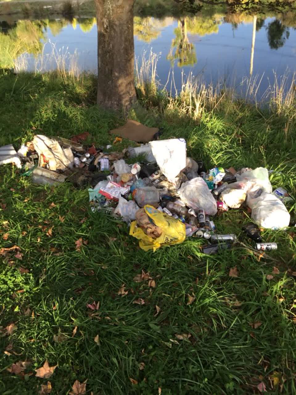 The photograph attached to this rubbish/recycling report