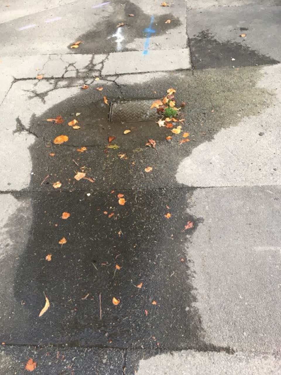 The photograph attached to this wastewater/stormwater report