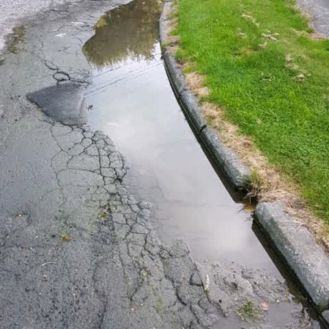 Flooding, a report photo