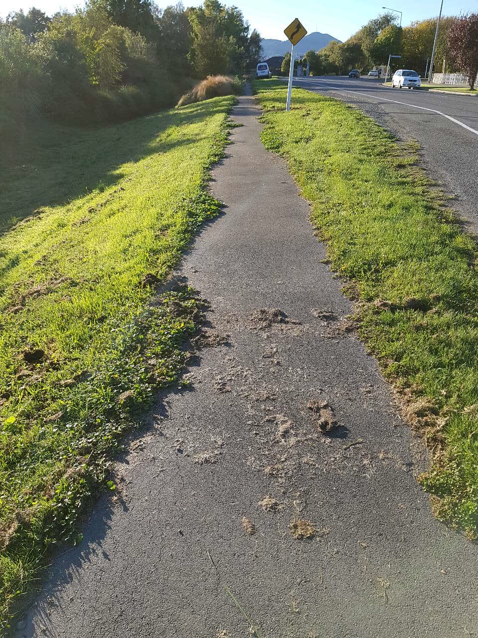 The photograph attached to this roading/streets report