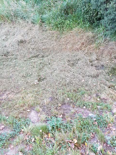 Roading/Streets, a report photo