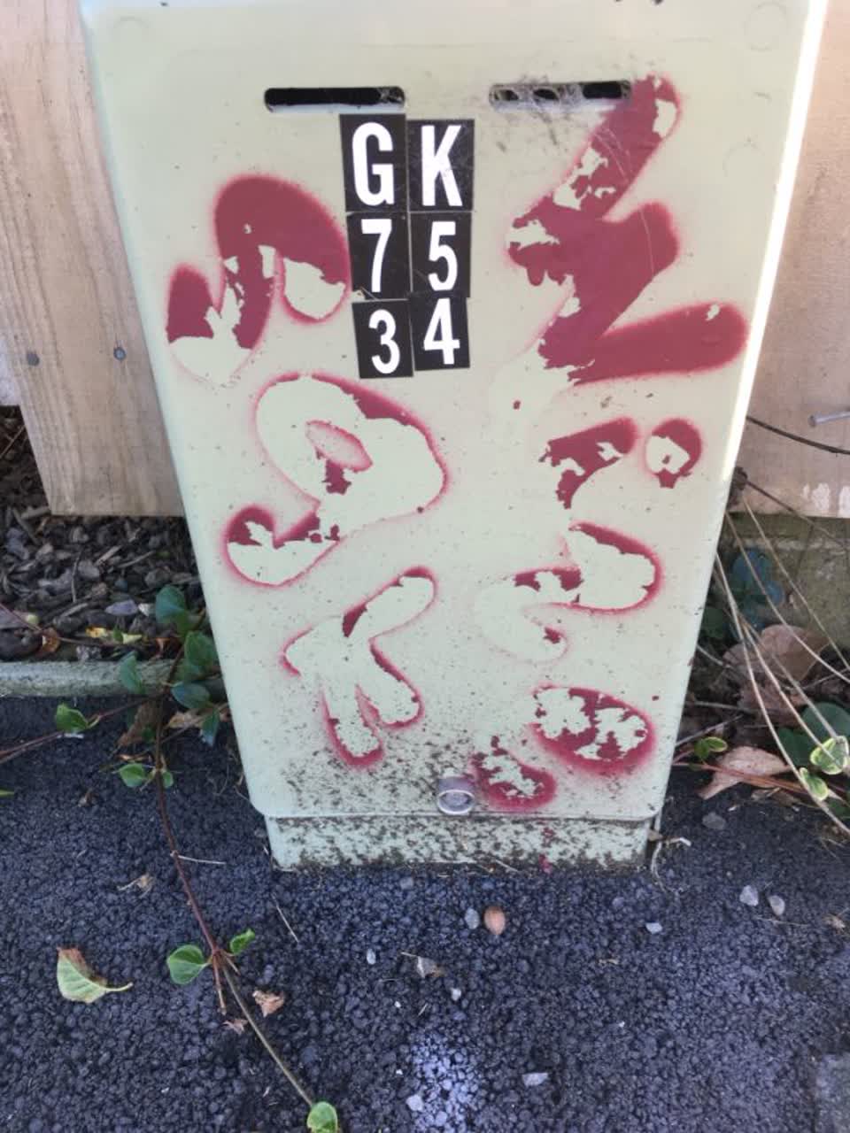 The photograph attached to this graffiti report
