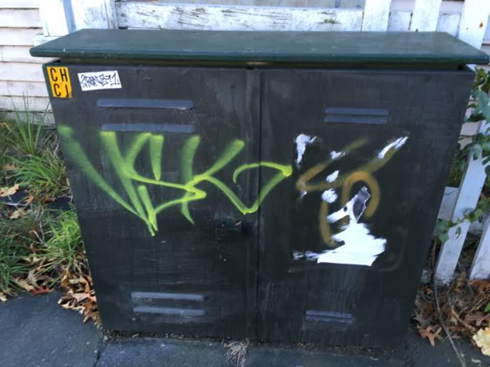 The photograph attached to this graffiti report