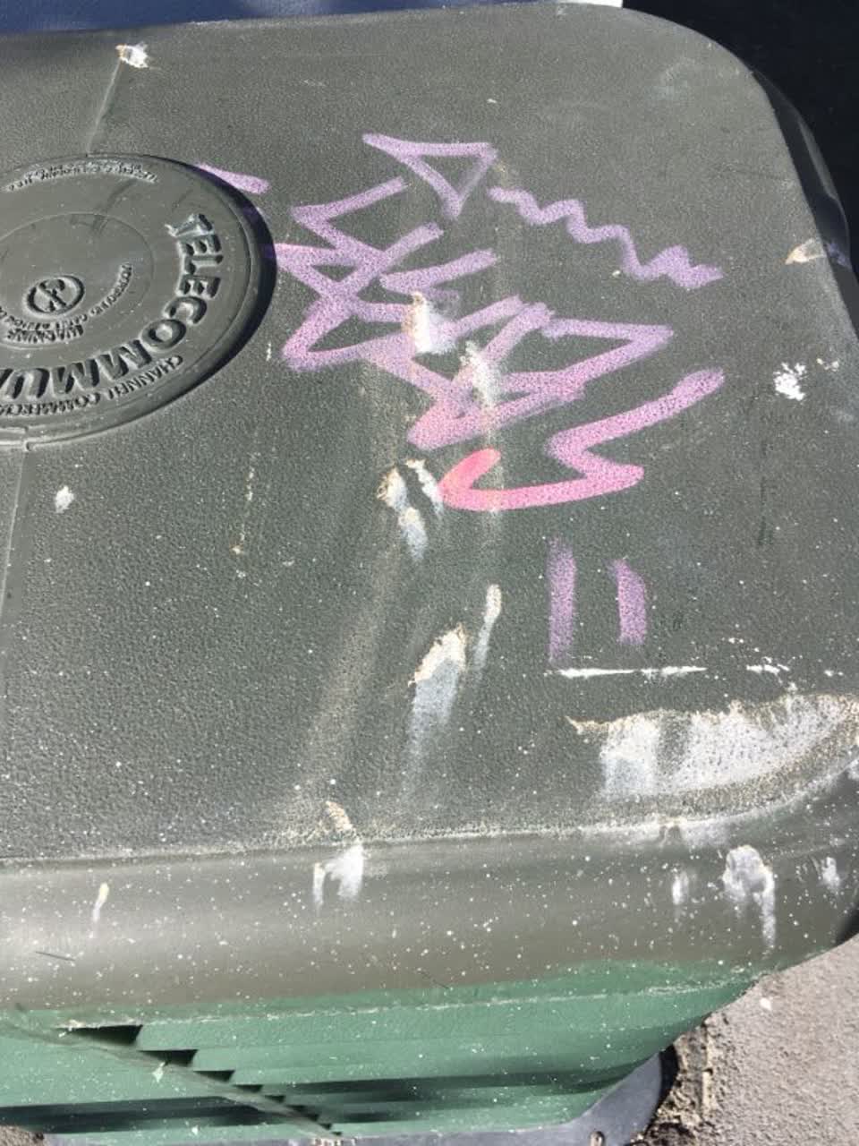 The photograph attached to this graffiti report