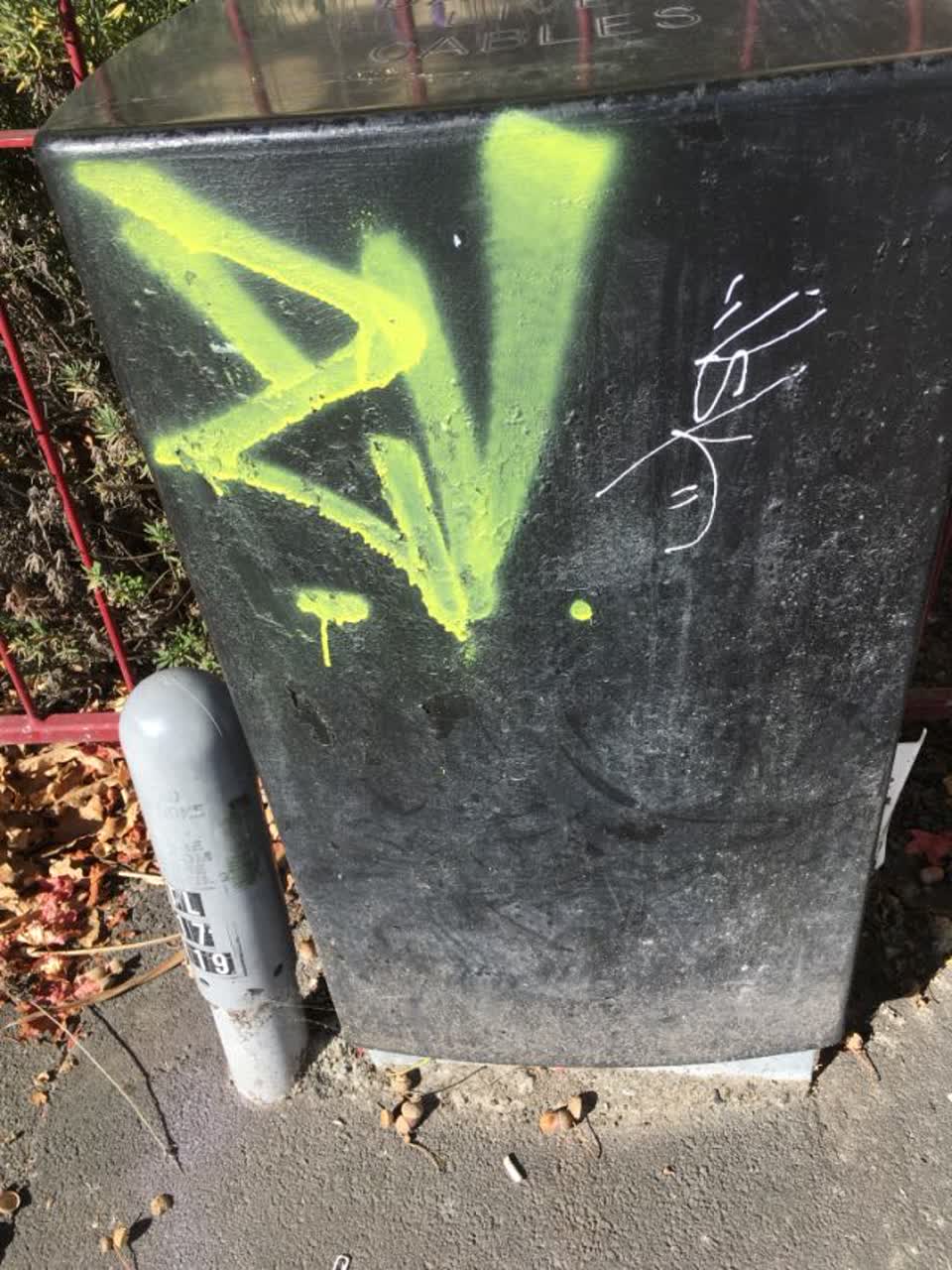 The photograph attached to this graffiti report