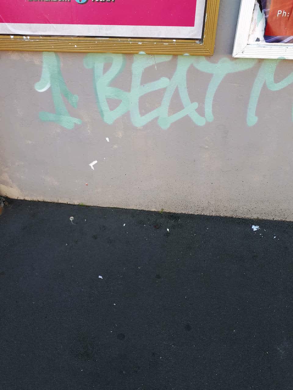 The photograph attached to this graffiti report