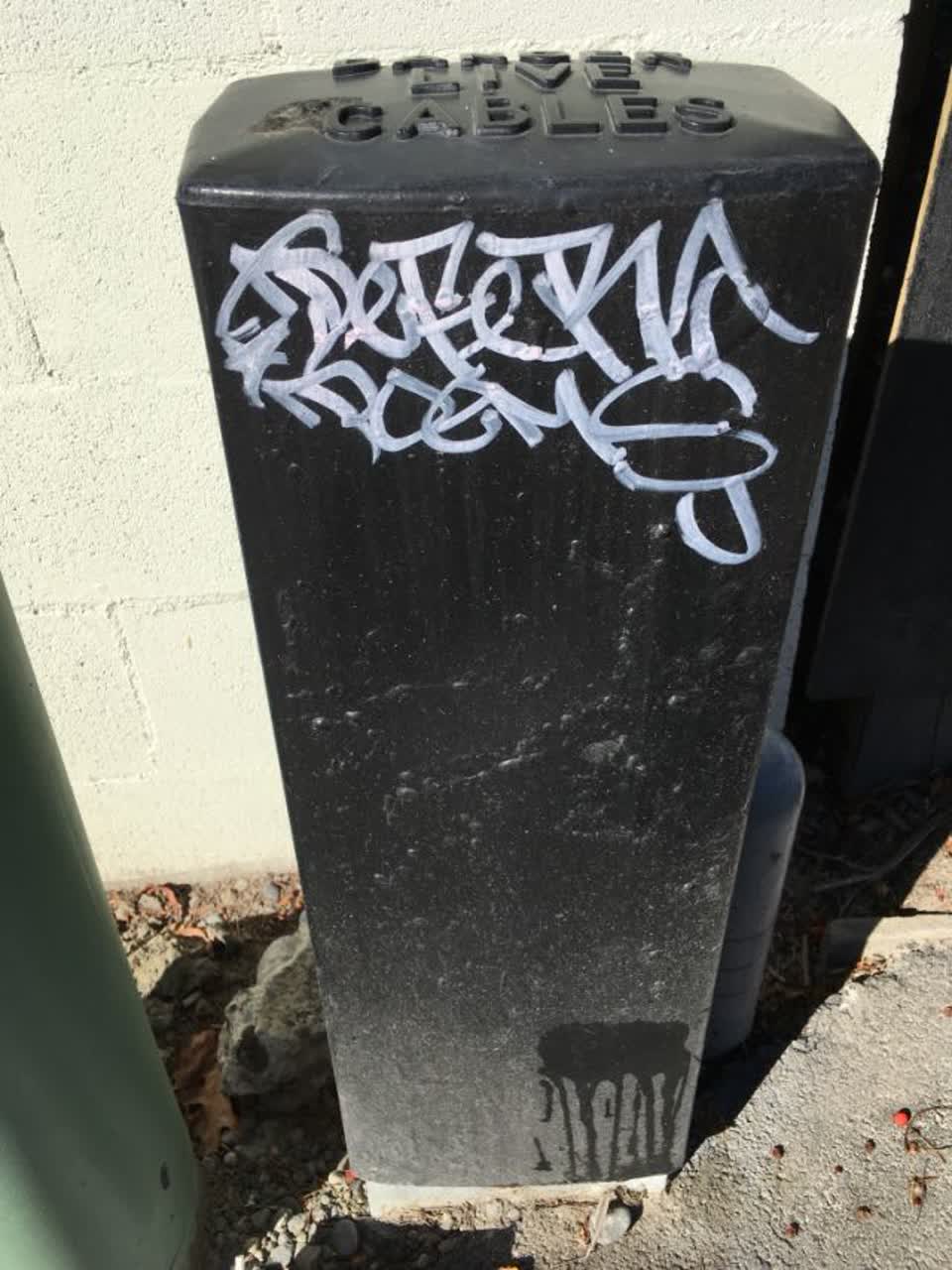 The photograph attached to this graffiti report