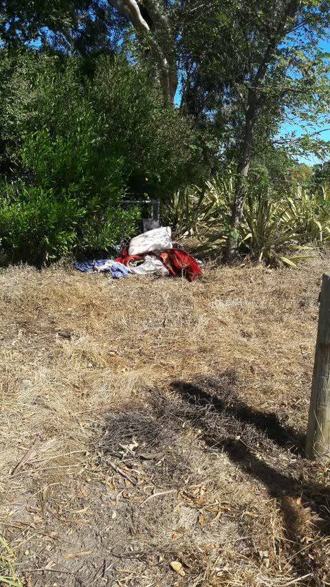 Rubbish/Recycling, a report photo