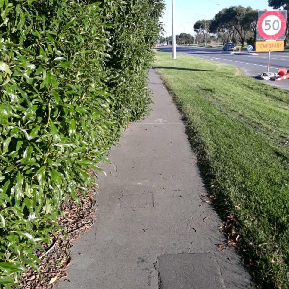 The photograph attached to this parks report