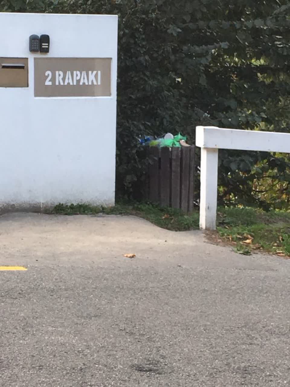 The photograph attached to this parks report
