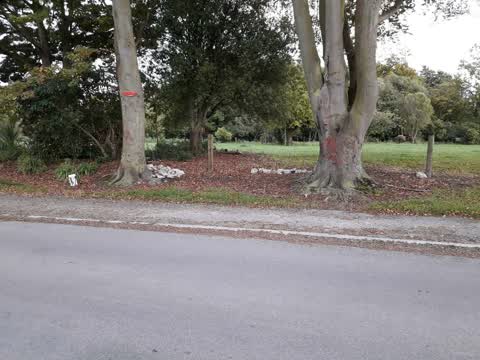 Rubbish/Recycling — a report photo