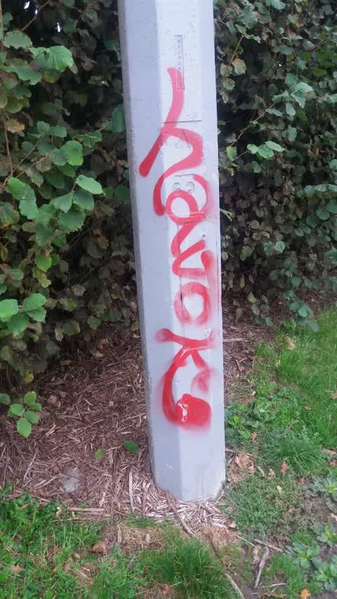 Graffiti, a report photo
