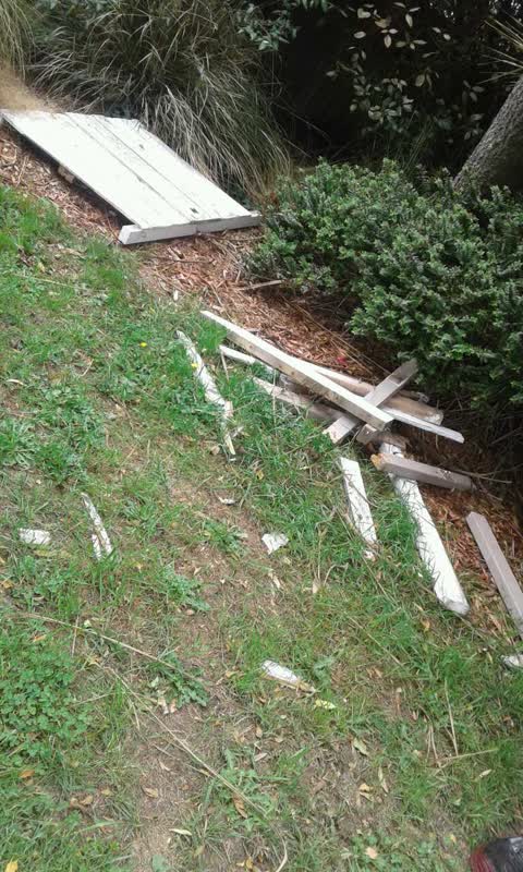 Rubbish/Recycling — a report photo