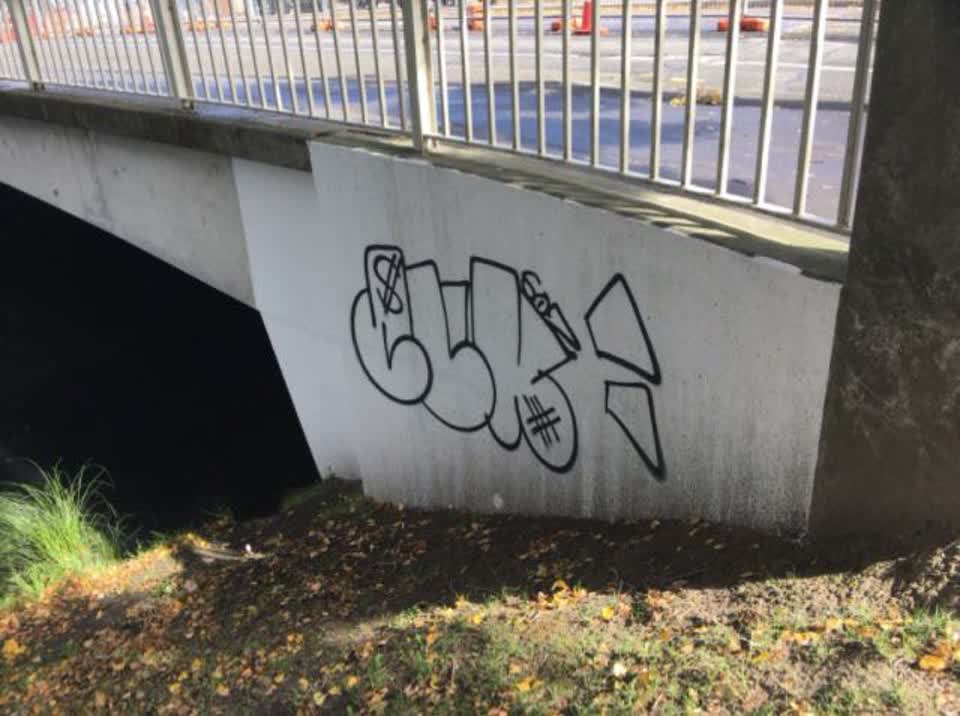 The photograph attached to this graffiti report