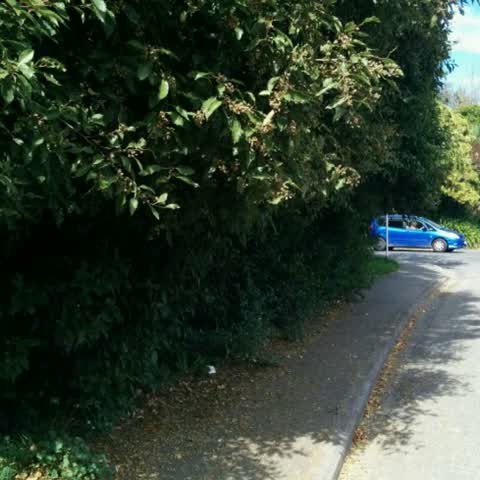 Roading/Streets — a report photo