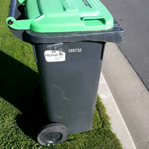 Rubbish/Recycling, a report photo