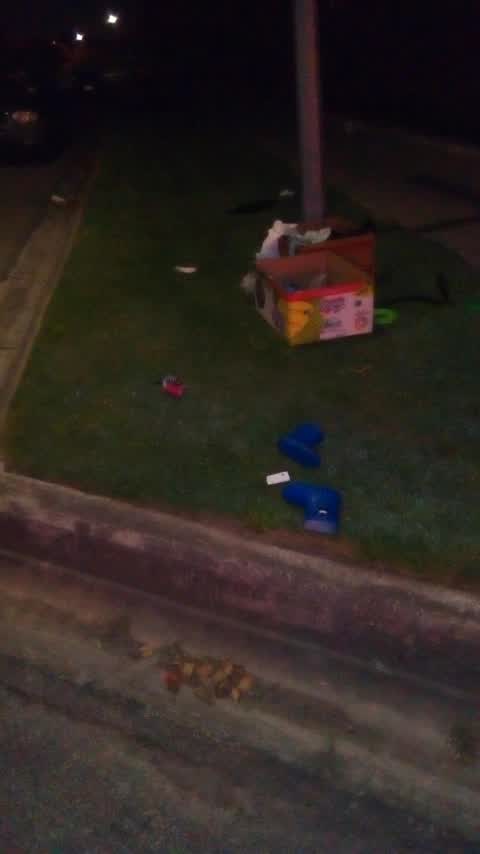 Rubbish/Recycling, a report photo