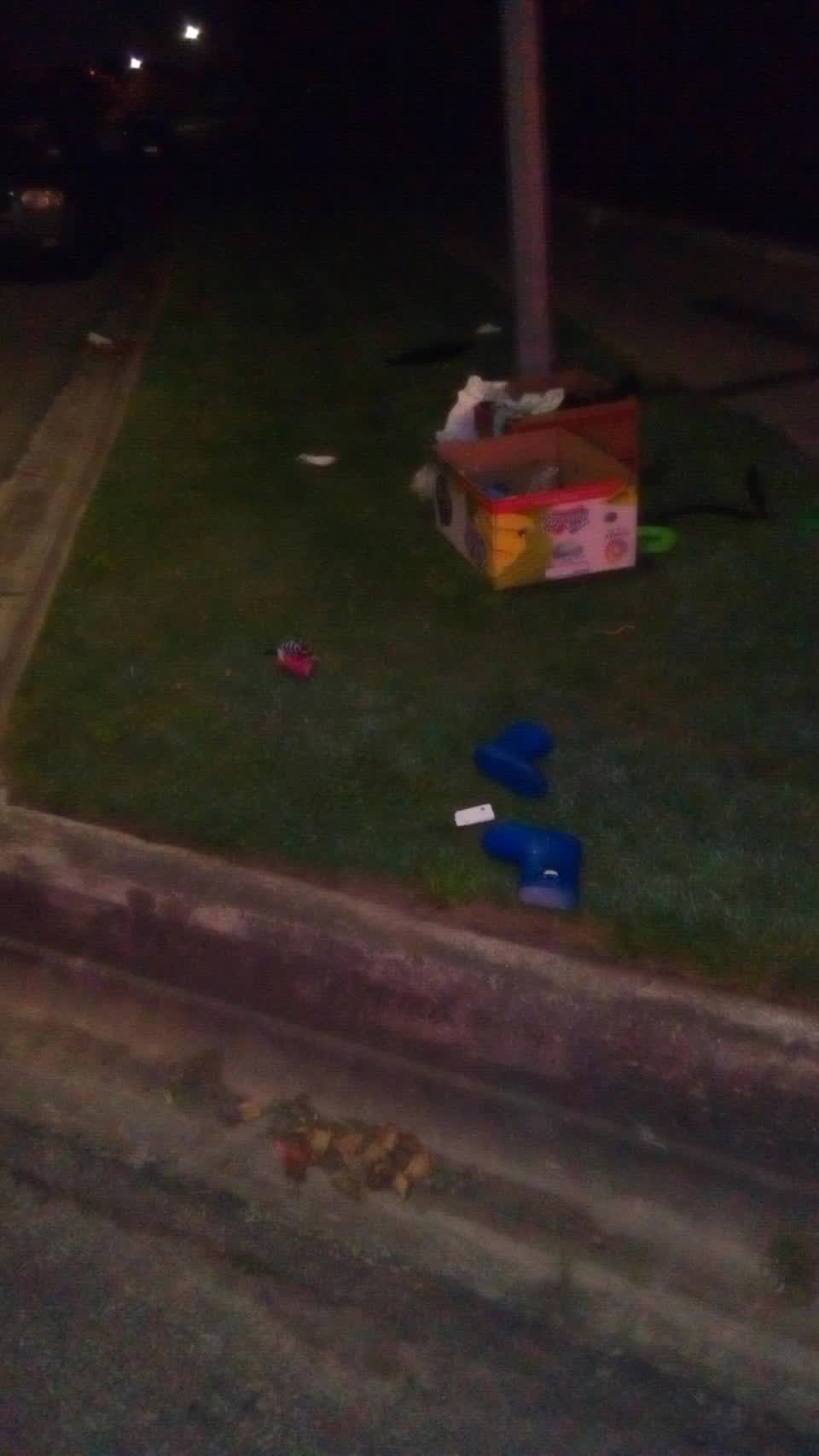 The photograph attached to this rubbish/recycling report