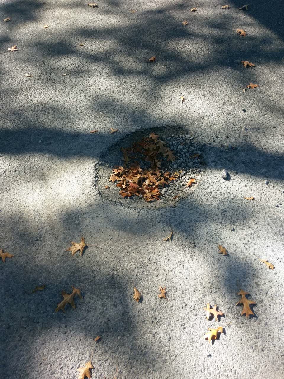 The photograph attached to this roading/streets report