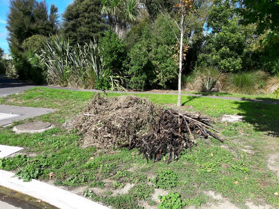 The photograph attached to this parks report