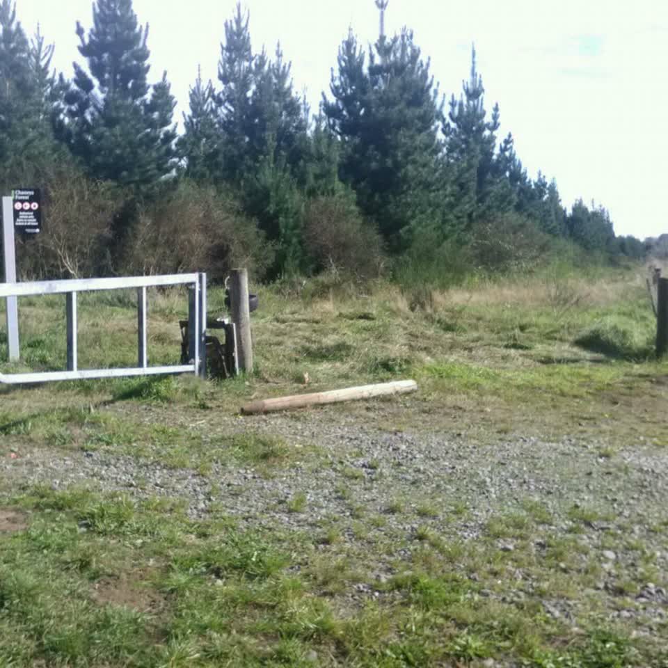 The photograph attached to this parks report