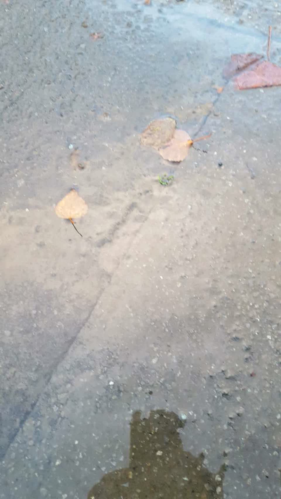 The photograph attached to this water supply report