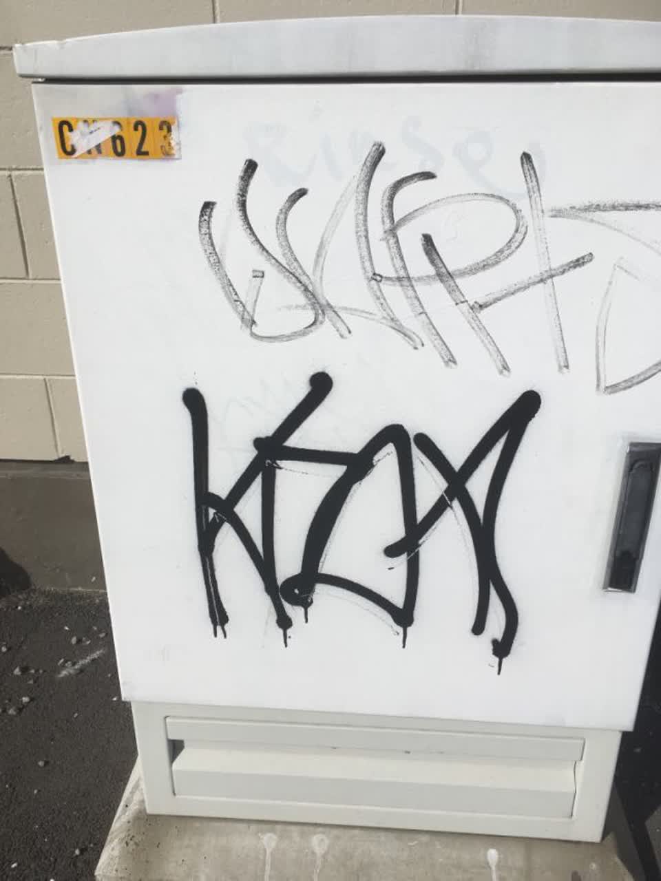 The photograph attached to this graffiti report