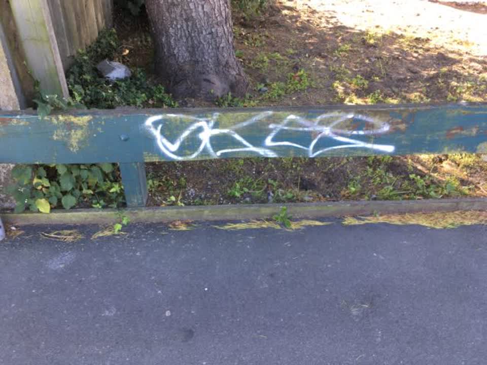 The photograph attached to this graffiti report