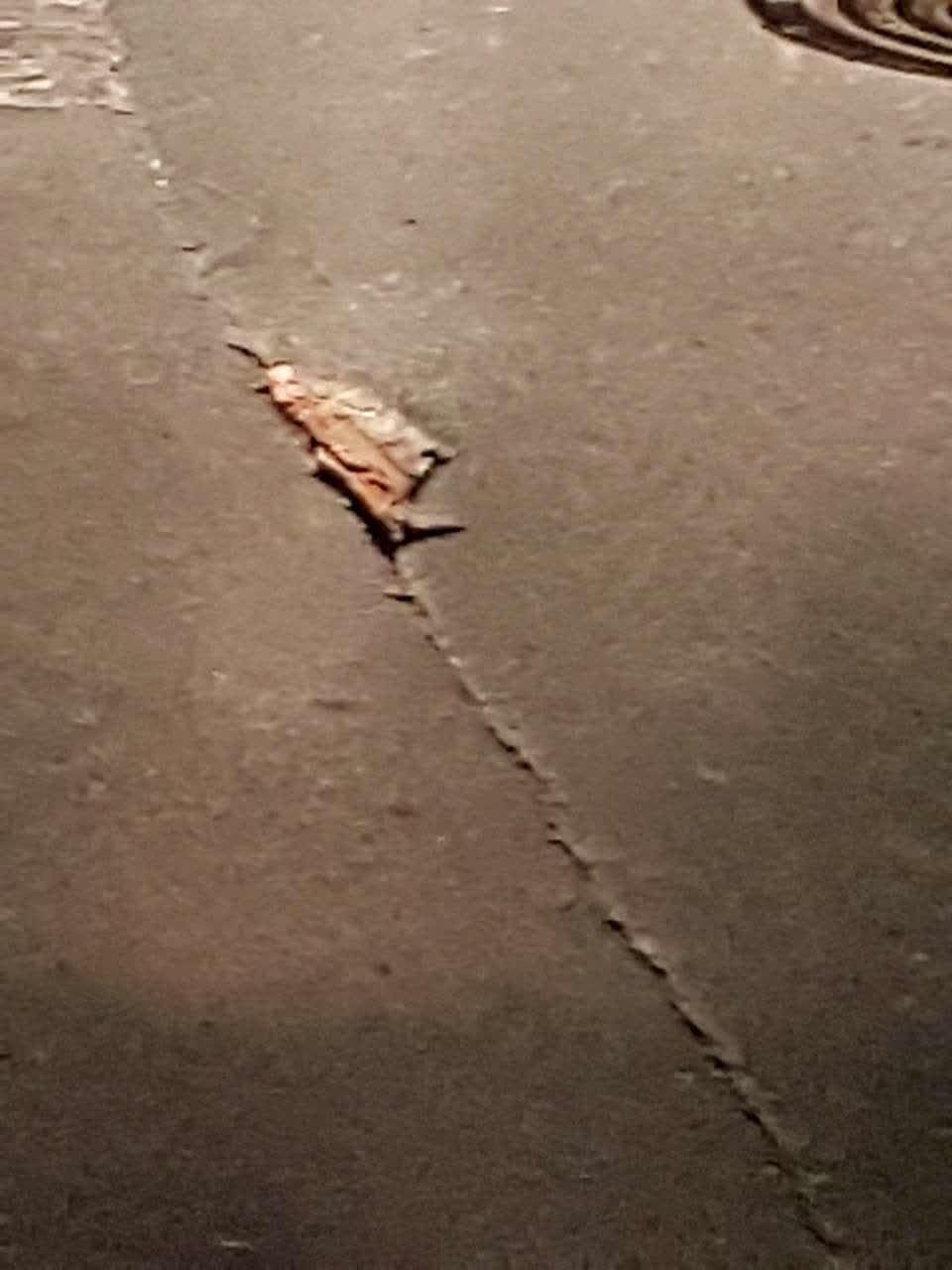 The photograph attached to this roading/streets report